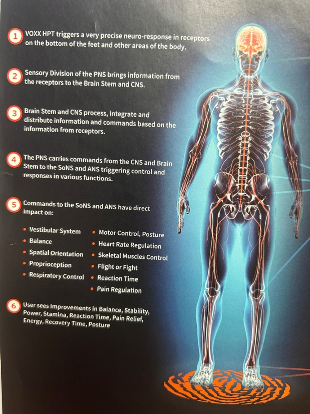 Voxx Socks - with built in HPT technology! Backed by Science ! - Picture 3 of 5